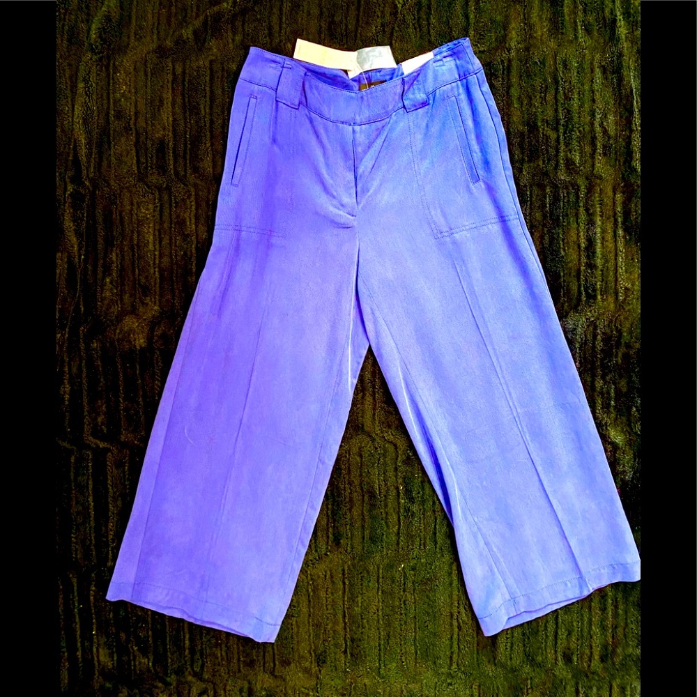 Blue culottes